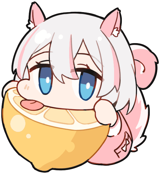 24年12月23日前cv-MOD实验室